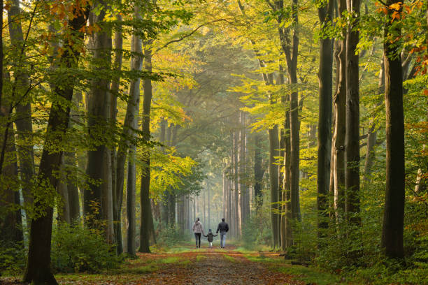 Ademhalingsoefeningen buiten